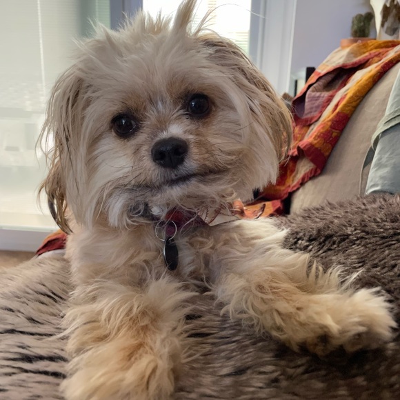 --Meet your seller-- - Picture 3 of 3